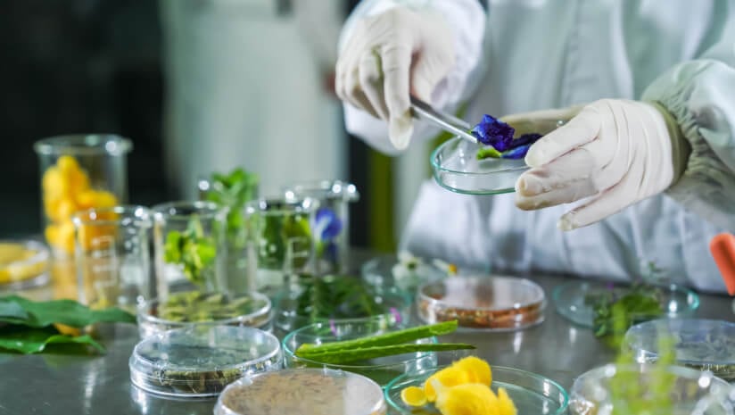 Botanical safety: Tools needed to decode the ‘most creative