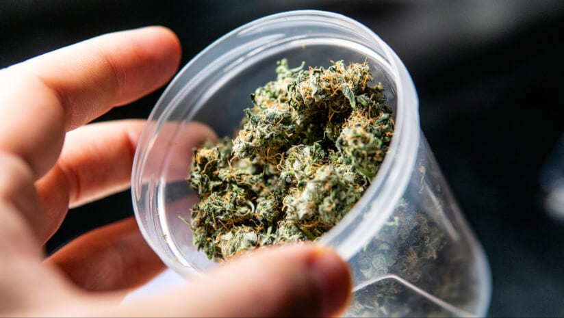 In aftermath of FDA GRAS shift, FloraWorks continues regulatory path