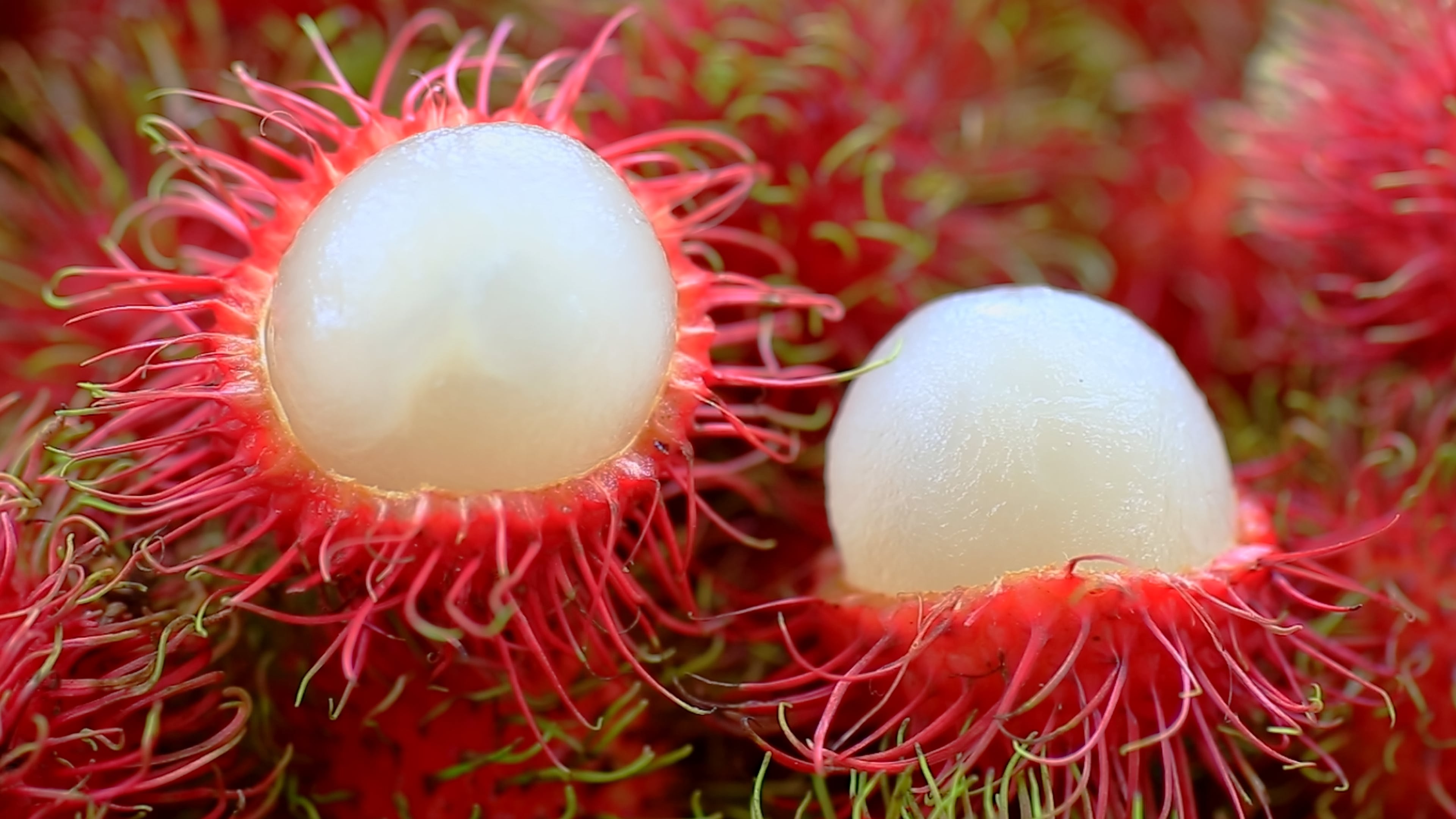 Study: Upcycled rambutan peel extract holds promise as supplement